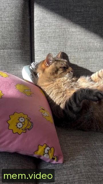 Кадр на 0:11