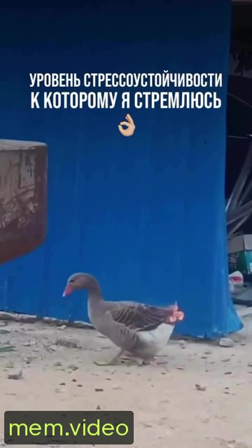 Кадр на 0:01
