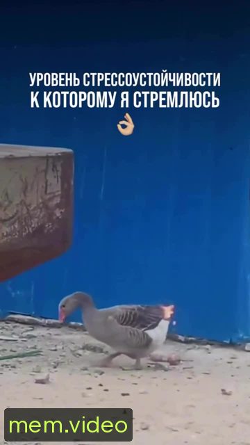Кадр на 0:02