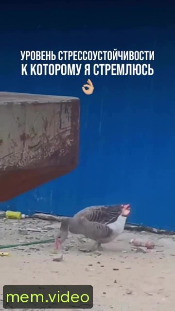 Кадр на 0:02