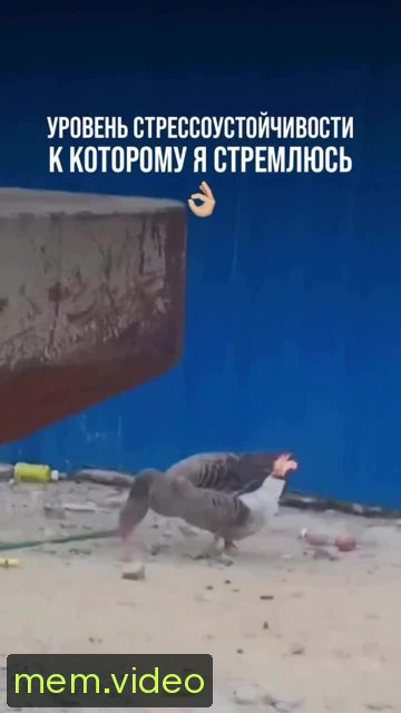 Кадр на 0:03