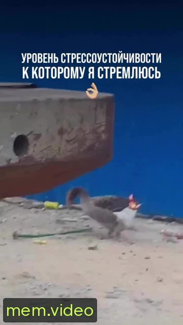 Кадр на 0:05