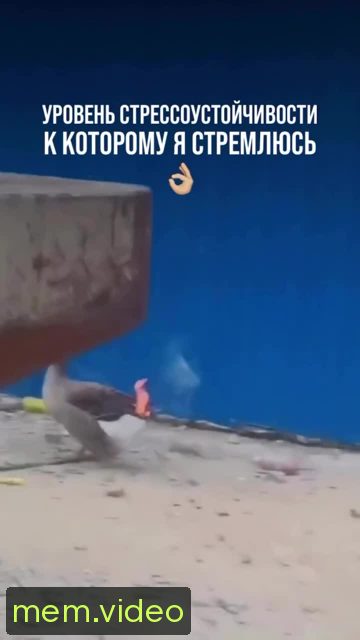 Кадр на 0:06