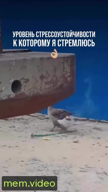 Кадр на 0:07