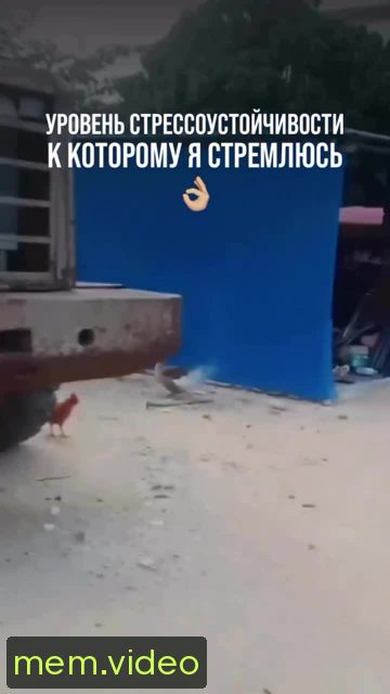 Кадр на 0:07