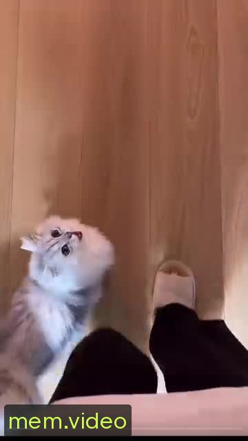 Кадр на 0:01