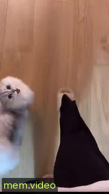 Кадр на 0:02