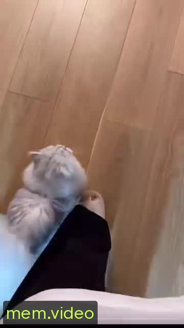 Кадр на 0:02