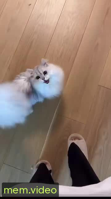 Кадр на 0:04