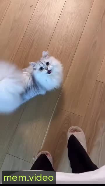 Кадр на 0:05