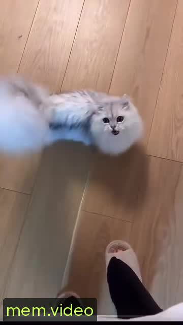 Кадр на 0:07