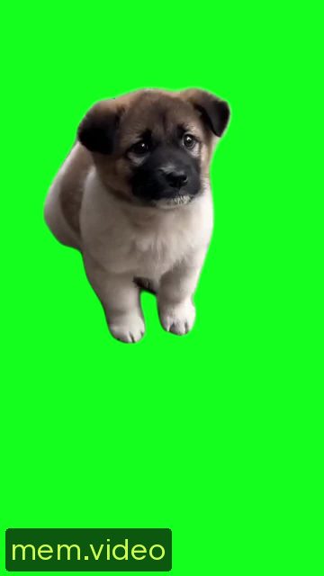Кадр на 0:00