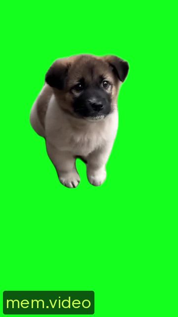 Кадр на 0:01