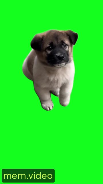 Кадр на 0:02