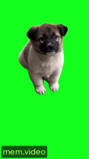 Кадр на 0:02