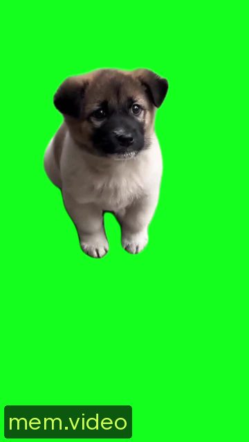 Кадр на 0:04