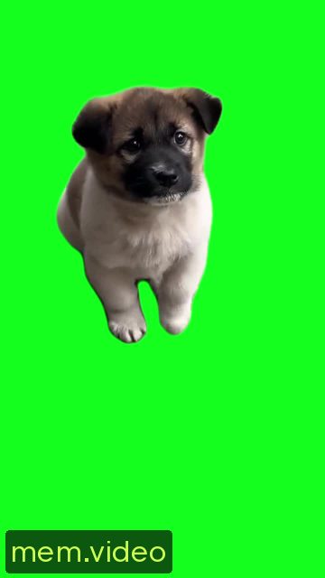Кадр на 0:05