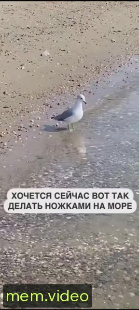 Кадр на 0:00