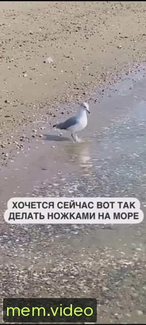 Кадр на 0:00
