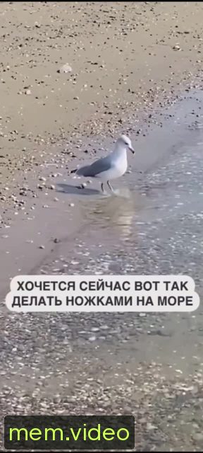 Кадр на 0:01
