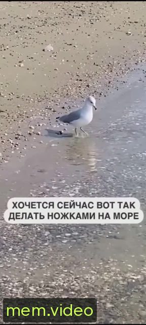 Кадр на 0:02