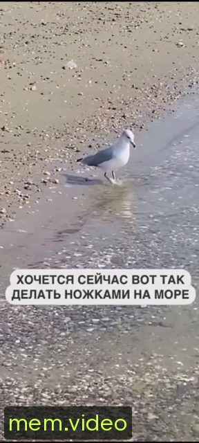 Кадр на 0:03