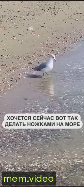 Кадр на 0:03