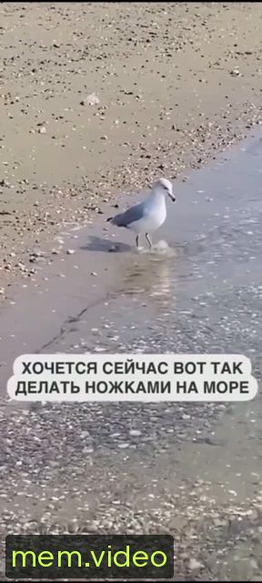 Кадр на 0:04