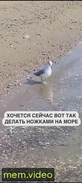 Кадр на 0:05