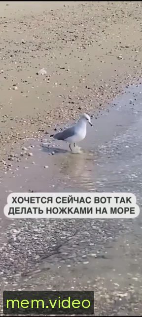 Кадр на 0:06
