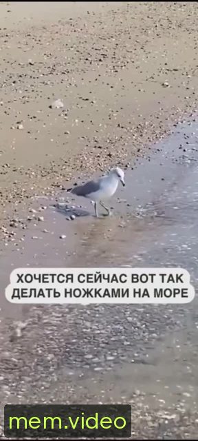 Кадр на 0:06