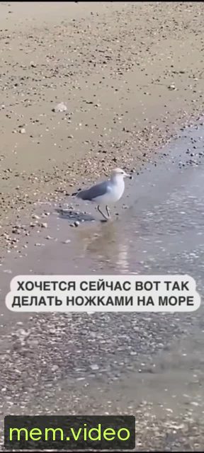 Кадр на 0:07