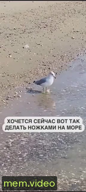 Кадр на 0:08