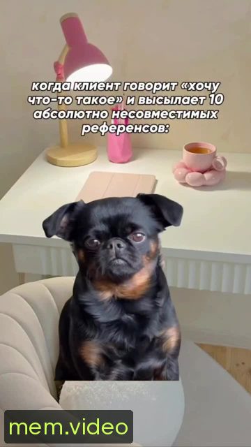 Кадр на 0:00