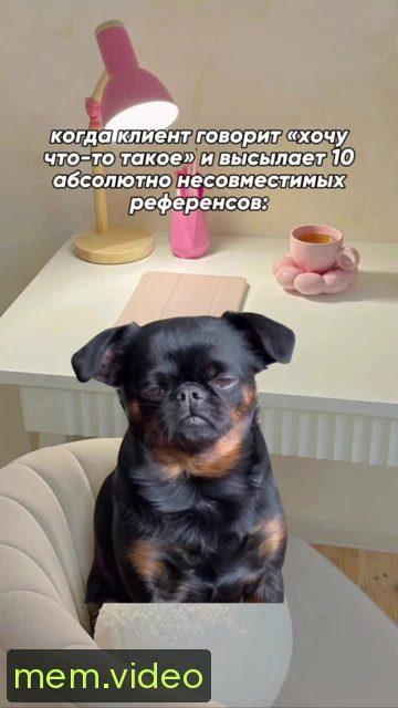 Кадр на 0:08