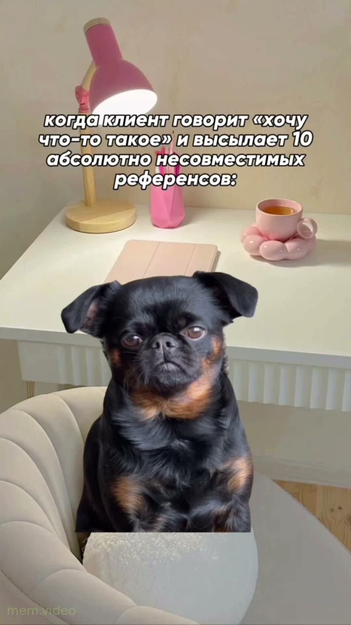 Кадр: Грустная собака в кресле слушает счёт — шаблон для монтажа