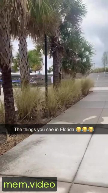 Кадр на 0:03