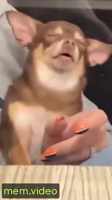 Кадр на 0:02