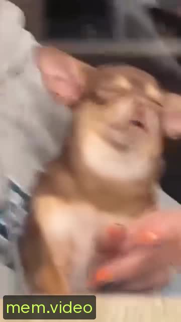 Кадр на 0:03