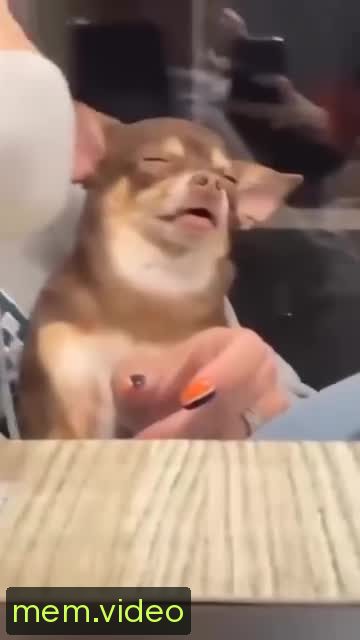 Кадр на 0:05