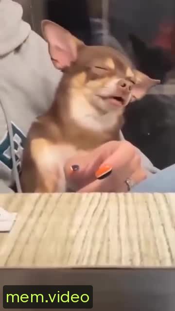 Кадр на 0:09