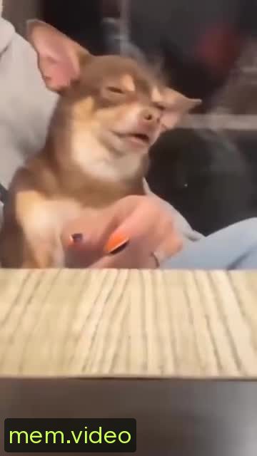 Кадр на 0:11