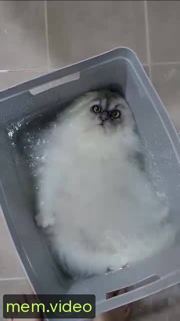 Кадр на 0:00