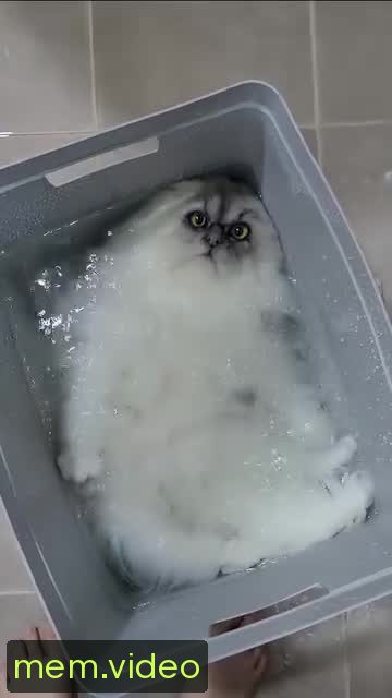 Кадр на 0:01