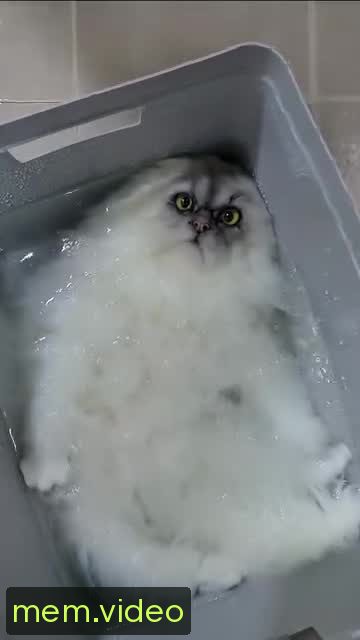 Кадр на 0:02