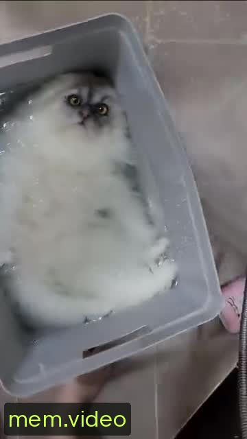 Кадр на 0:04