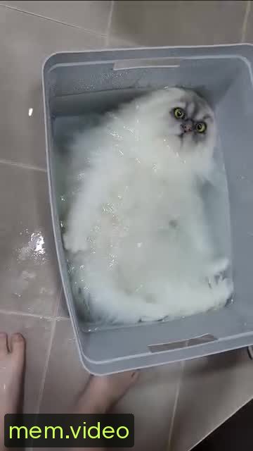 Кадр на 0:05