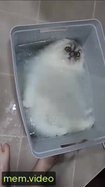 Кадр на 0:07