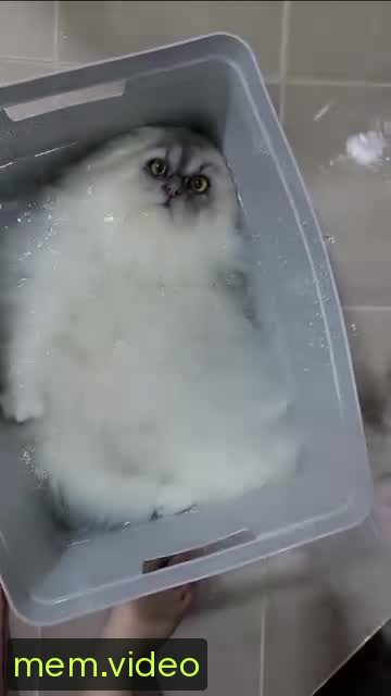 Кадр на 0:08