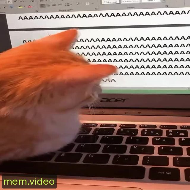 Кадр на 0:00